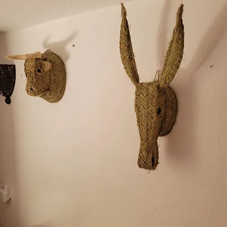 公寓 Casa Esperanza *