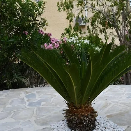 Casa Esperanza 公寓 *